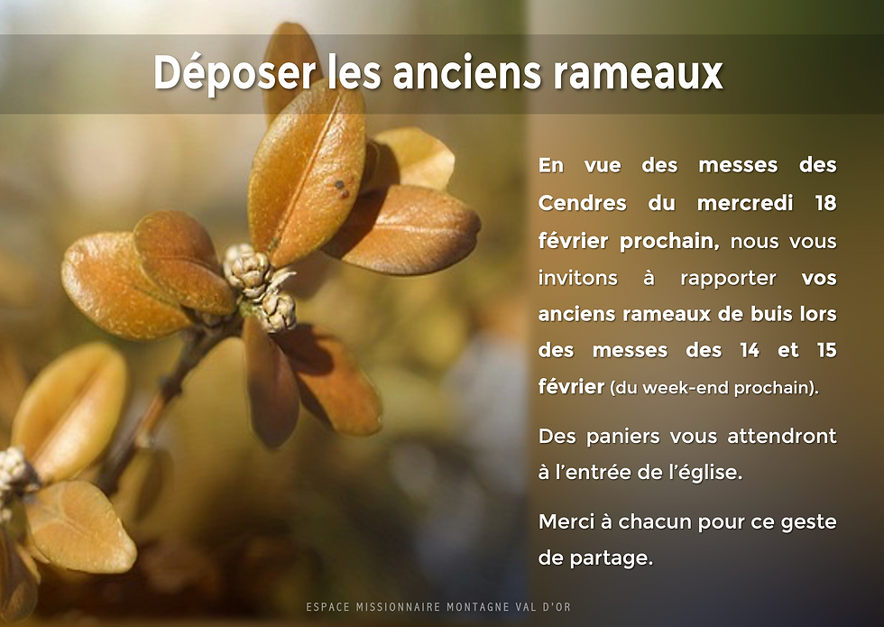 RAPPORTER LES RAMEAUX DE BUIS