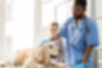 Our Mission: Providing compassionate, high-quality veterinary care—because your pets are family to us