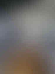 WhatsApp Image 2025-11-20 at 17.48.46 (1)