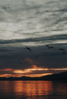 Sunrise captured over the water at Lake Mead national recreation center, birds fly over the lake with dark blue stormy clouds, captured by las vegas photographer hayway films
