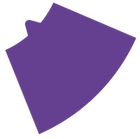 PRISMA7.png