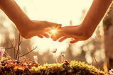 AdobeStock_81717411_edited.jpg