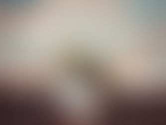 Pot or Not: the High Stakes of New Zealand’s Cannabis Referendum