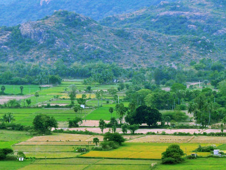 Terrorism and the Indian Maoists: Dispelling the “Robin Hood” Myth