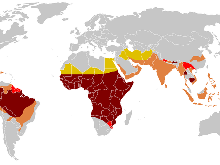 Getting to Zero: The Fight Against Malaria