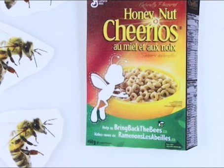 What’s All This Buzz about Bees?