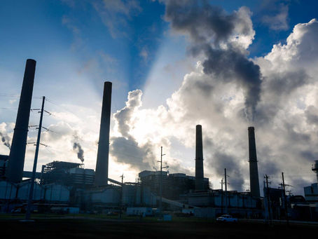 Something Seedy: The Conflicting Roles of Science in Environmentalism