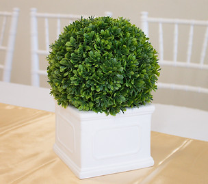 Green bush centerpiece