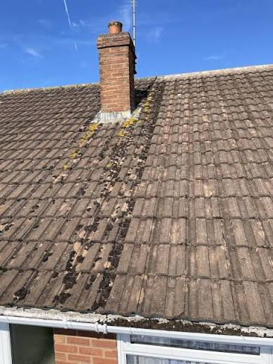 WhatsApp Image 2025-11-18 at 22.34.25