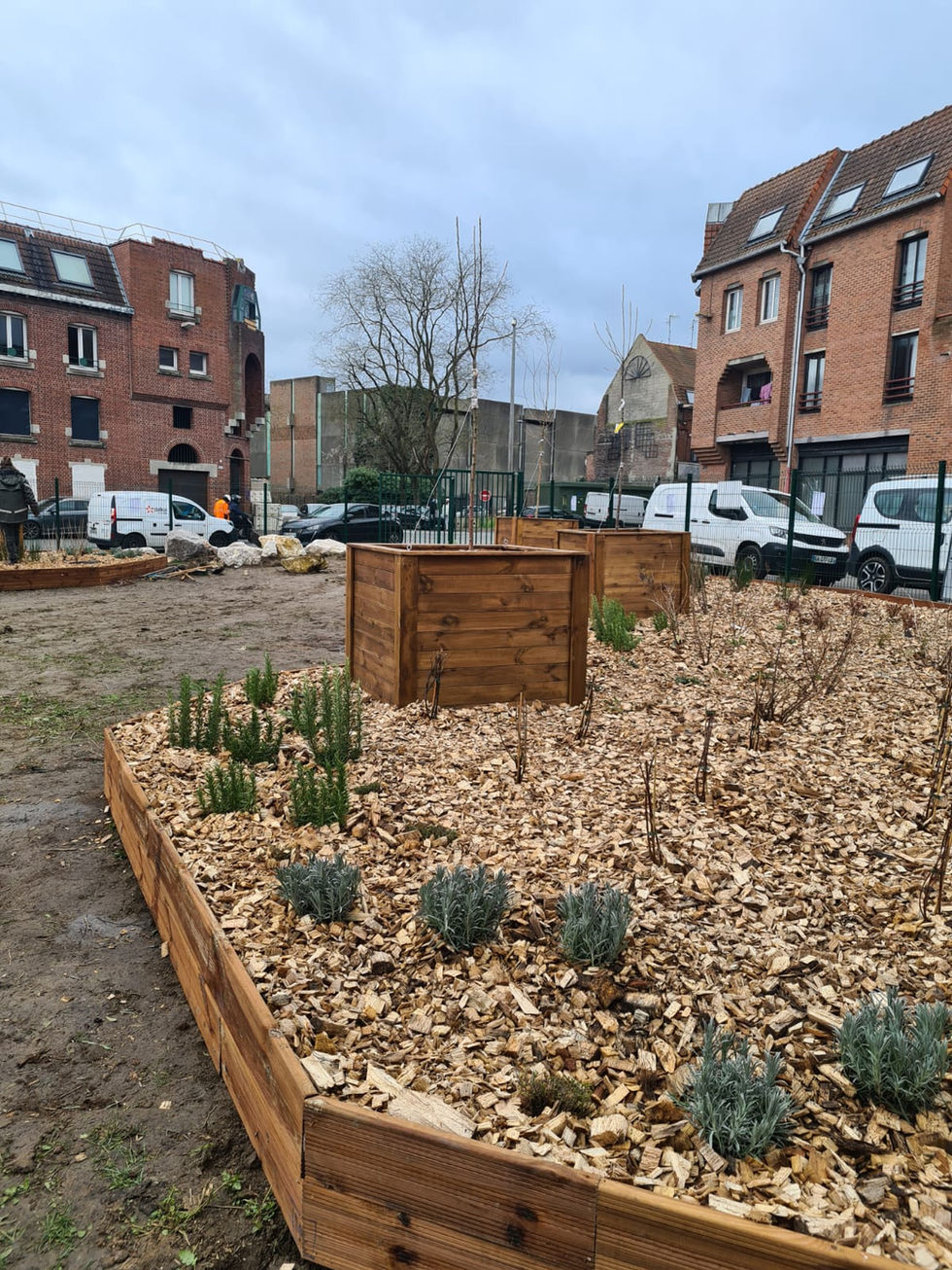 WhatsApp Image 2026-01-27 at 13.44.06 (1)