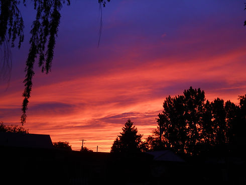 DSCN0843.JPG