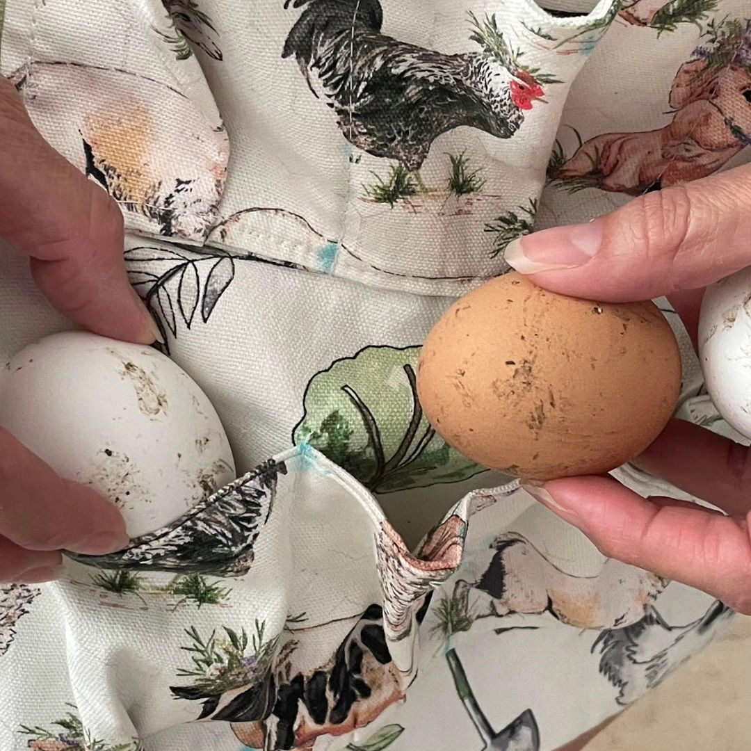 Egg Collector Apron