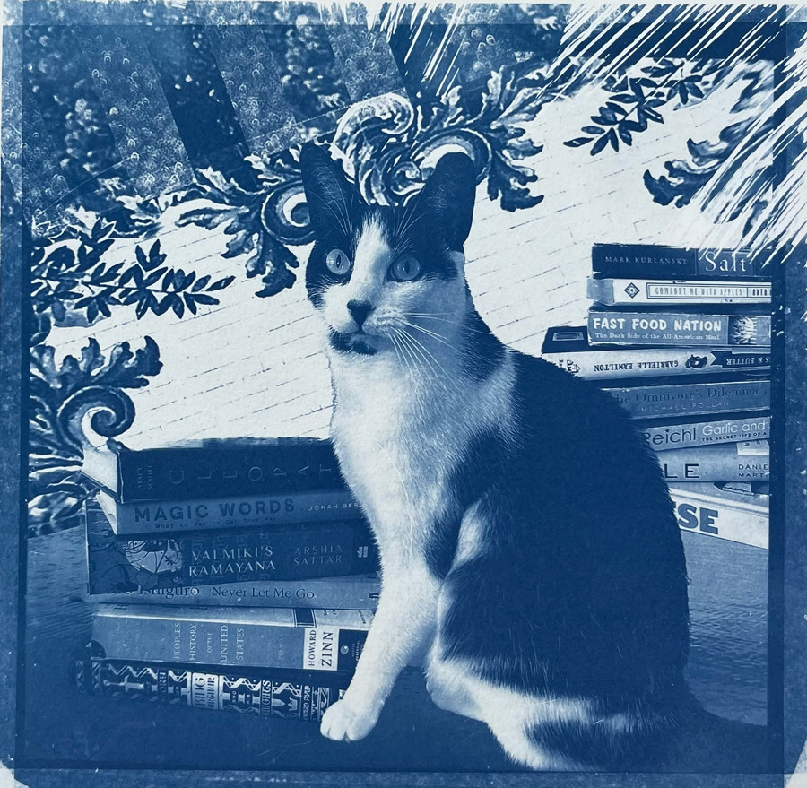 Reader of Books