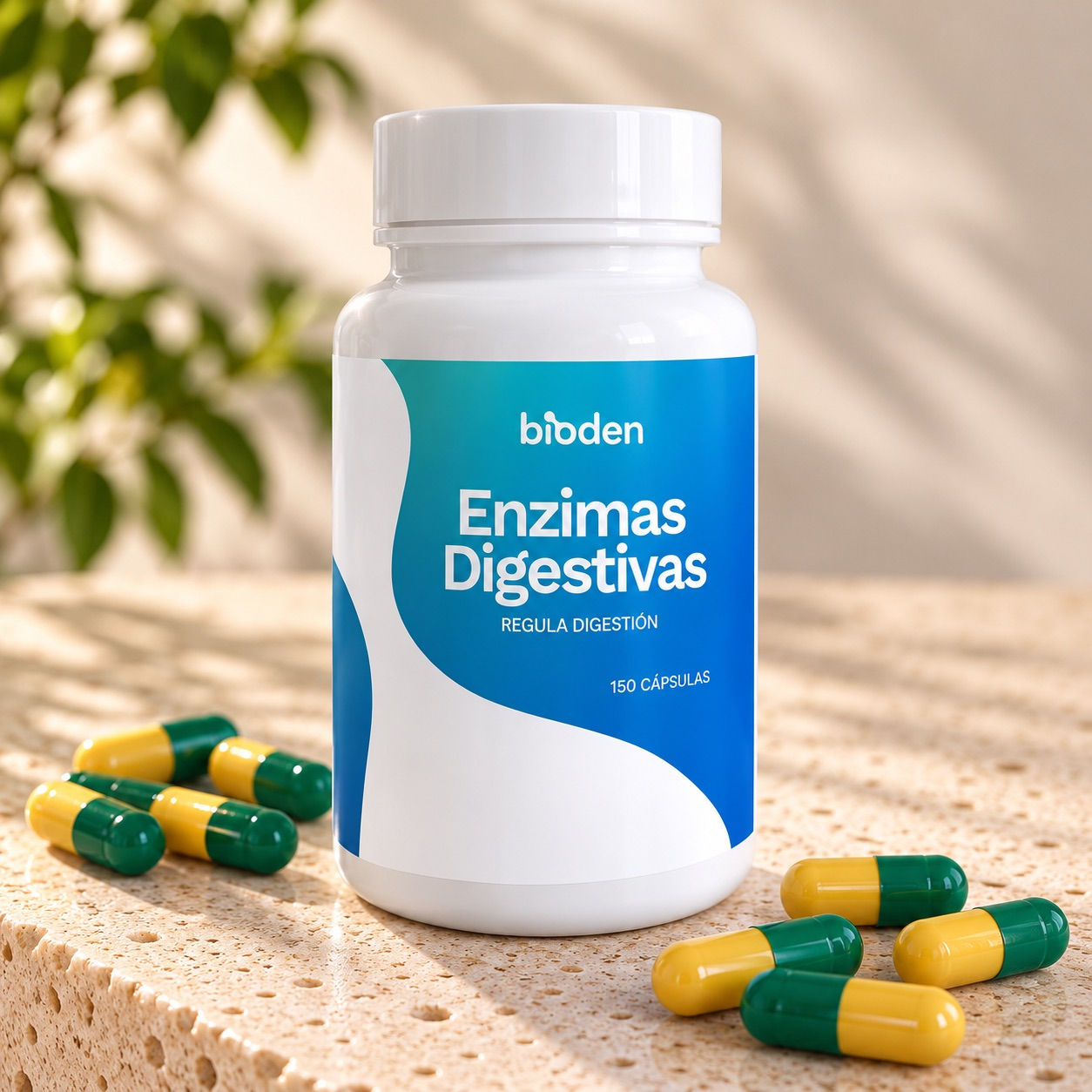 Enzimas Digestivas