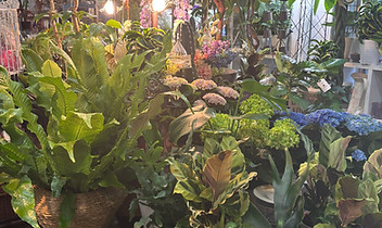 フルール ブランシェ店内