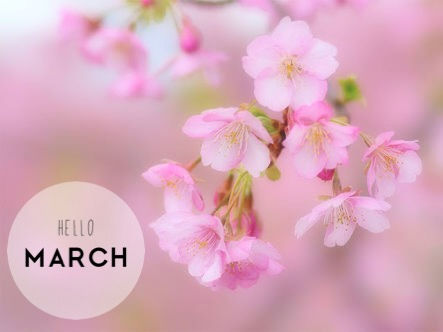 髪の悩み相談してます!