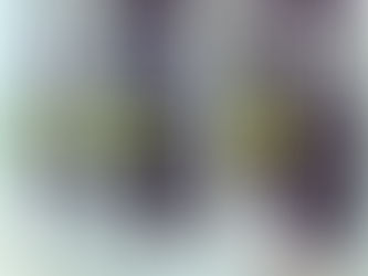 みるみる痩せる⁈最新ダイエット