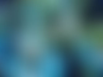 夏!薄着だ!ダイエットだ!!