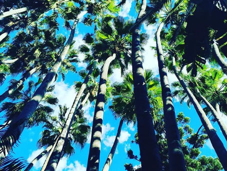 夏!薄着だ!ダイエットだ!!