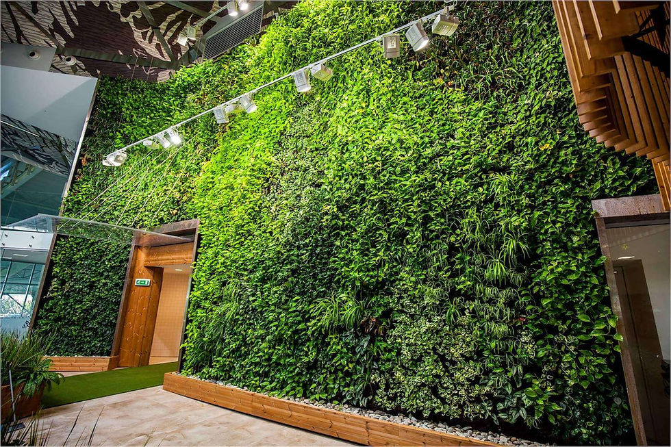 Landscape Design Singapore
