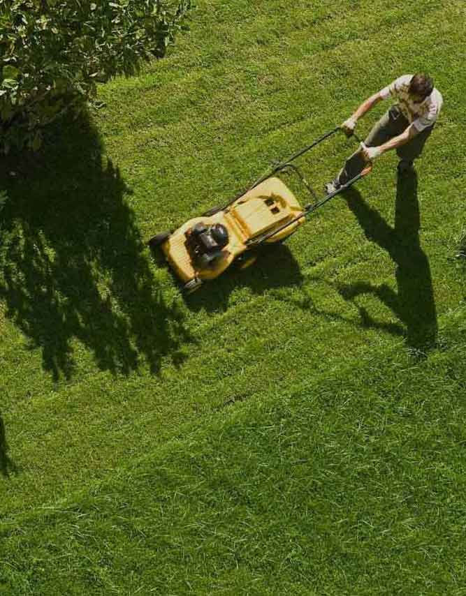 star landscape company