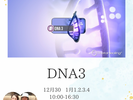 12月30日〜DNA3セミナー開催決定〜!!