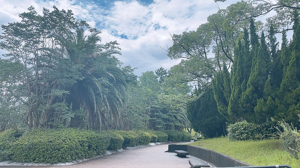 束の間の雨上がり❤︎公園散歩・アナトミーイントラ