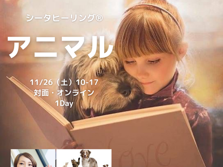 11/26 アニマルセミナー開催します!