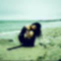 IMG_5017.jpeg