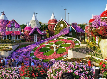 сад цветов дубай - Miracle Garden Dubai