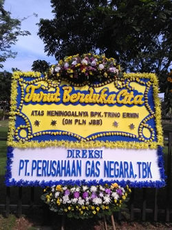 PGN - Trino