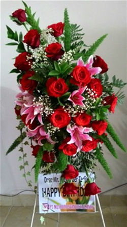 i284289739484607355._szw480h360_