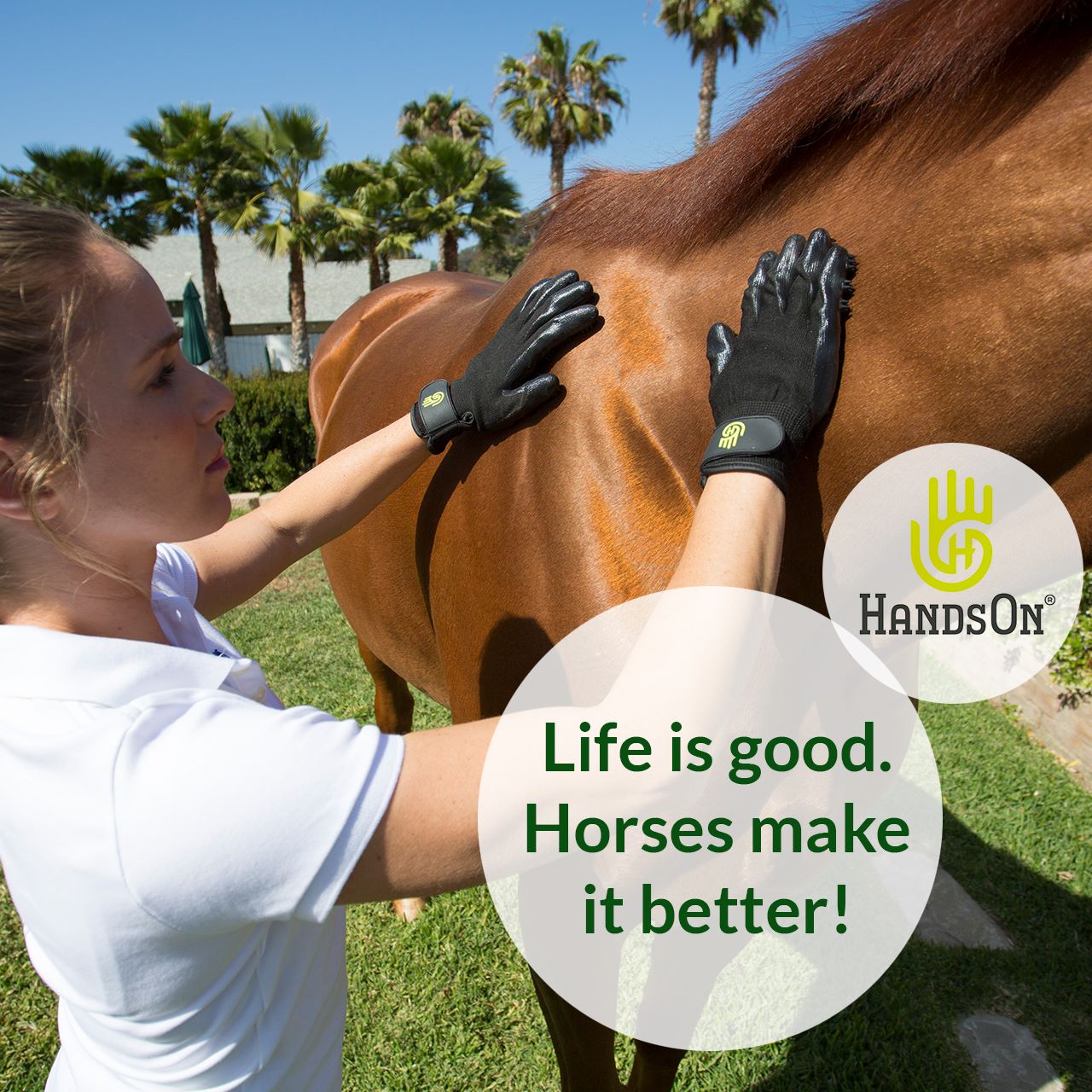 Hay Horse Feed Pet Supplies Moore Equine Feed & Pet Supply.