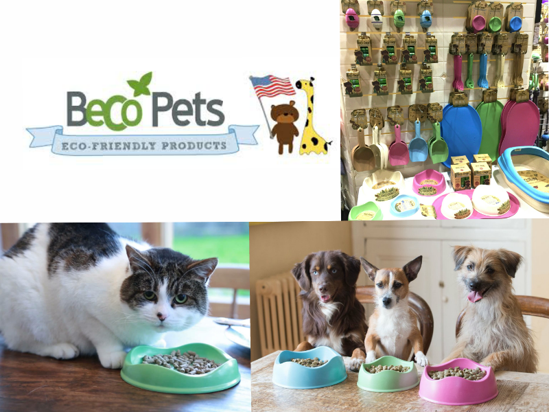 Hay Horse Feed Pet Supplies Moore Equine Feed & Pet Supply.