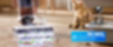 Tineco S7 Steam smart cleaning machine