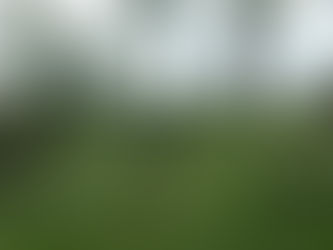 Modlitby 26. týden, 29. června – 4. července 2021