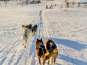 Modlitby 3. týden, 12. – 18. ledna 2026