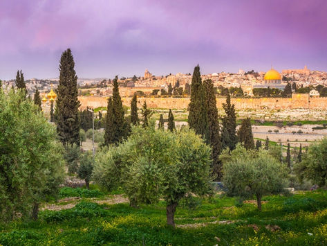 Modlitby 13. týden, 23. – 29. března 2026