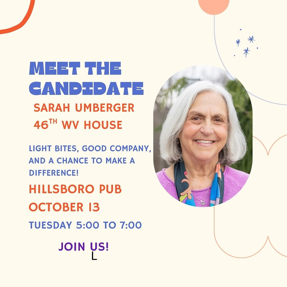 Meet the Candidate: Sarah Umberger, 46th WV House