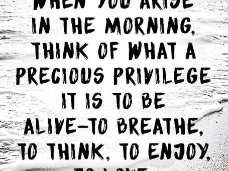 Finding Gratitude