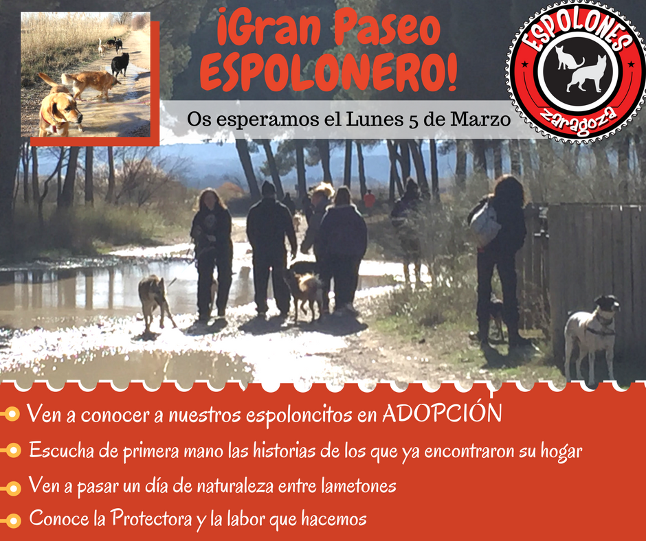 5 marzo