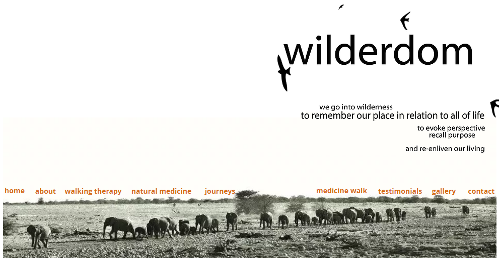 wilderdom wilderness vigil information