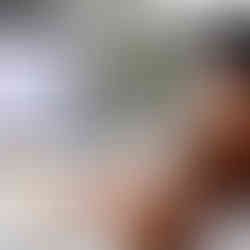 best local seo company