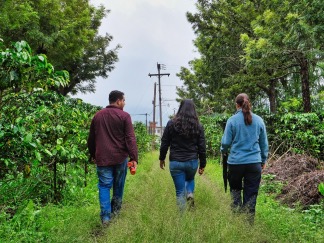 Hulpproject | Escuela de Caficulura Las Flores | Guatemala | bezoek koffieplantage in het veld