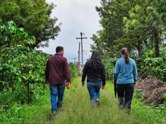 Hulpproject | Escuela de Caficulura Las Flores | Guatemala | bezoek koffieplantage in het veld