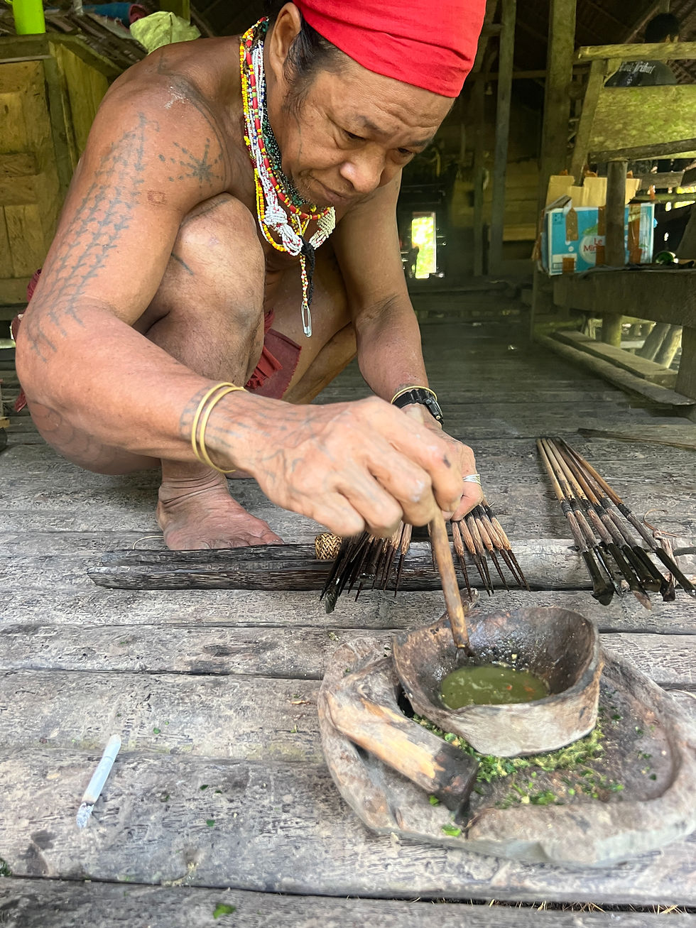 A turning year - XPLORid nomadic lifestyle: poison on arrows