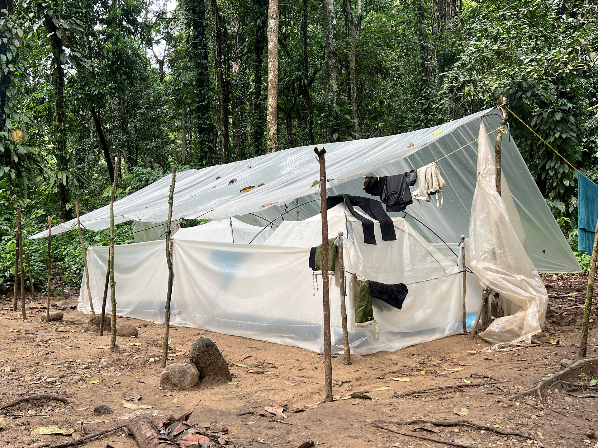 A turning year - XPLORid nomadic lifestyle: Gunung Leuser jungle tent