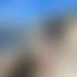 XPLORid Nomadic Lifestyle: Croatian dreams Mzungu dog sitting