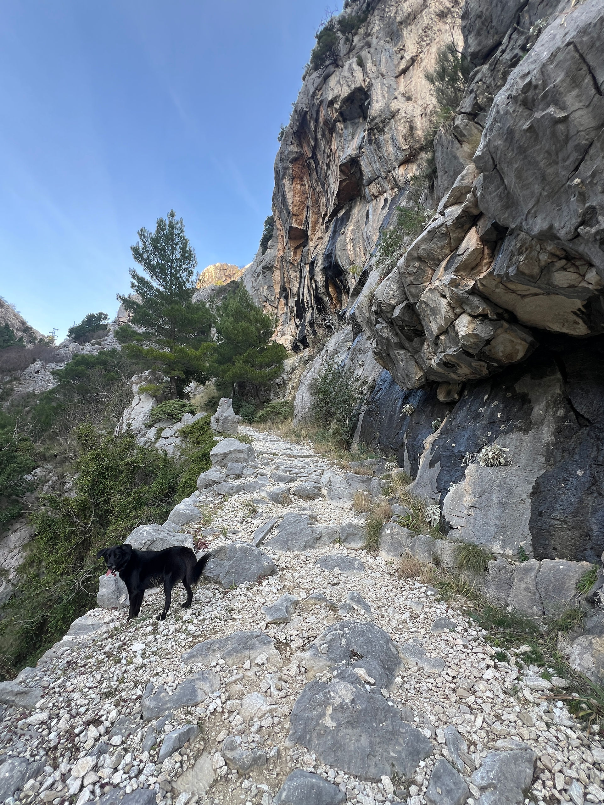 XPLORid Nomadic Lifestyle: Kroatische dromen wandeling op rotspad