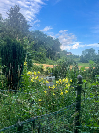 XPLORid - Cycling Nomads | Santiago de Compostela we discussed on one of our first dates